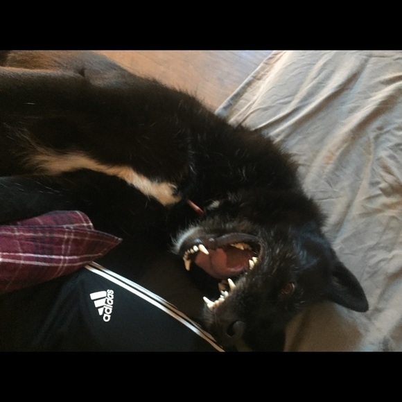 TOP Quality Items Only at Buy It Now Prices💃😎 - Picture 7 of 11